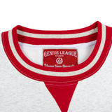 THE UNION STANDARD